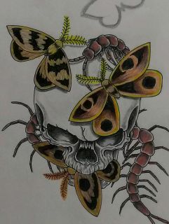 skull&moth&centipede 